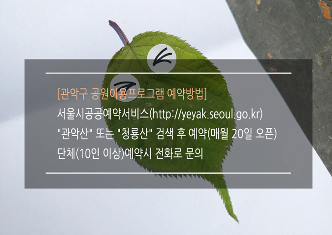 [관악구 공원이용프로그램예약방법] 서울시공공예약서비스(http://yeyak.seoul.go.kr) 관악산 또는 청룡산 검색 후 예약(매월 20일 오픈) 단체(10인 이상)예약시 전화로 문의