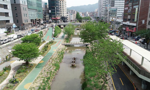 도림천 사진