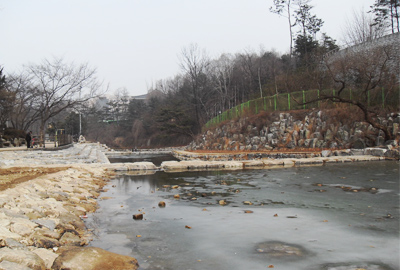 도림천 사진