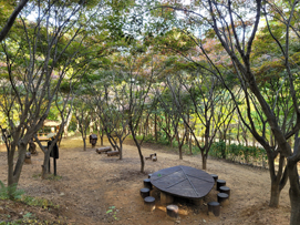 선우공원 유아숲체험원