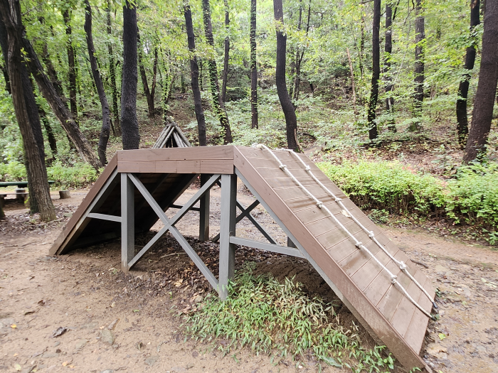 삼성동 유아숲체험원