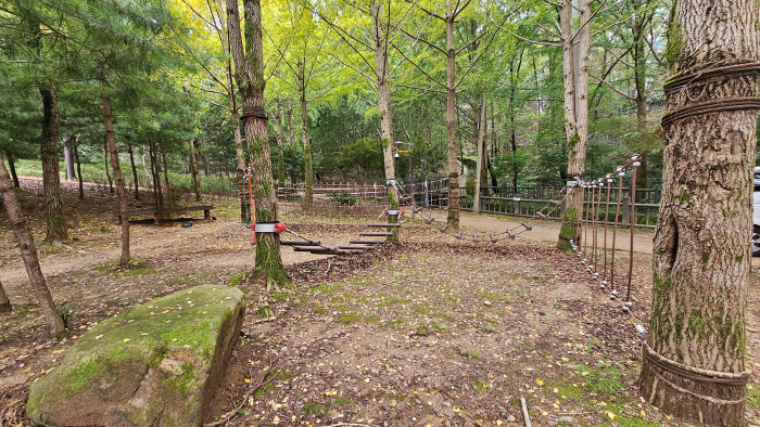 대학동 유아숲체험원