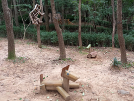 인헌동 유아숲체험원