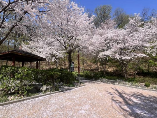 관악산근린공원 청룡산지구