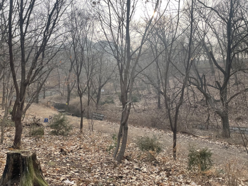 관악산근린공원 관암사지구