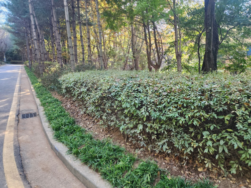 관악산근린공원 선우지구